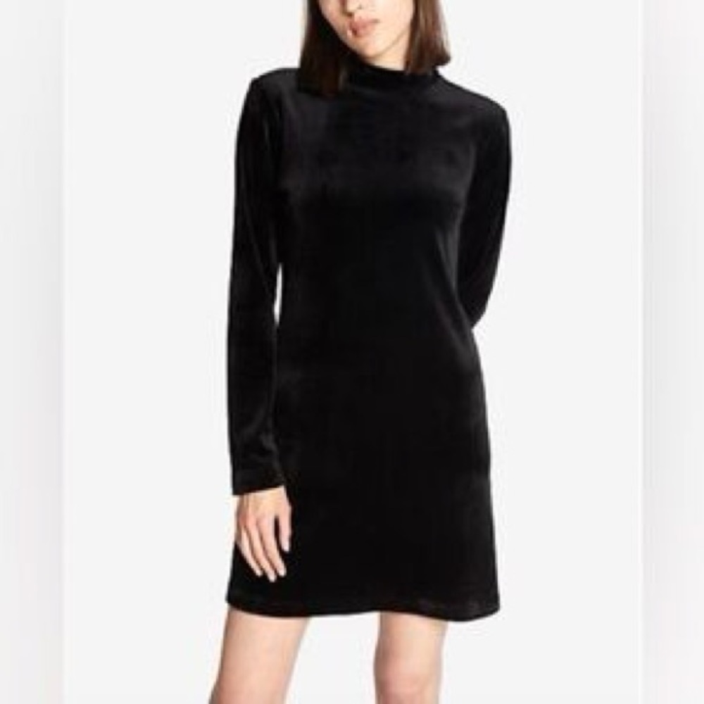 Everlane Velour Velvet Mock Neck Long Sleeve Shift Sweater Dress | S